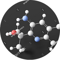 Drug Screening on Cultivated Cells