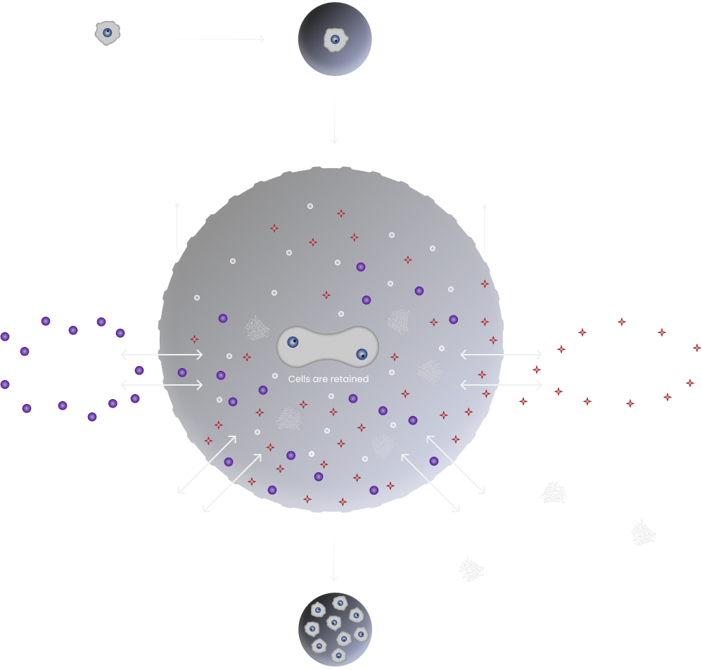 SPCs as Novel Bioreactors