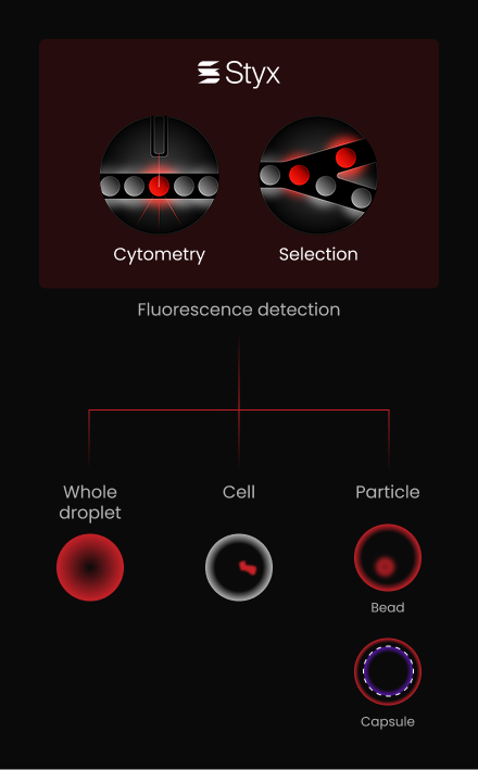 Styx Multicolor Fluorescence Detection
